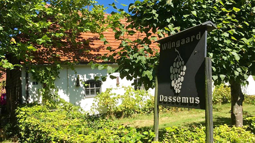 Wijngaard Dassemus in Chaam