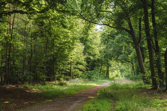 Handelsroute Chaam