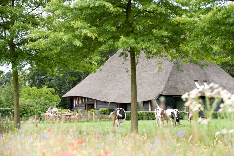 De Hoevens bij Alphen en Chaam