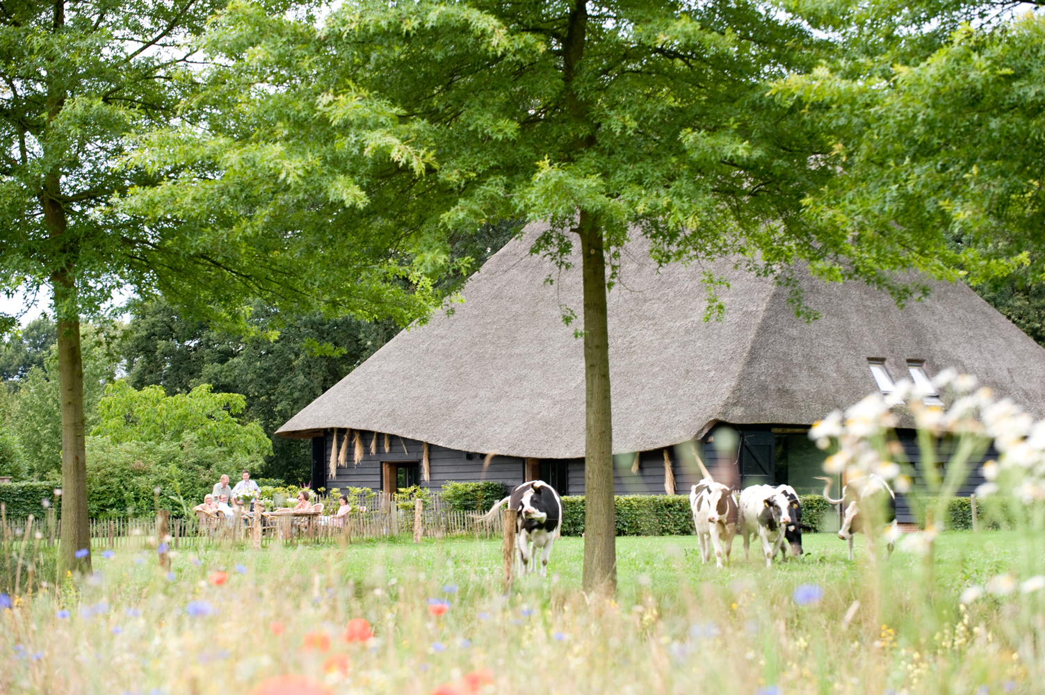 De Hoevens bij Alphen en Chaam