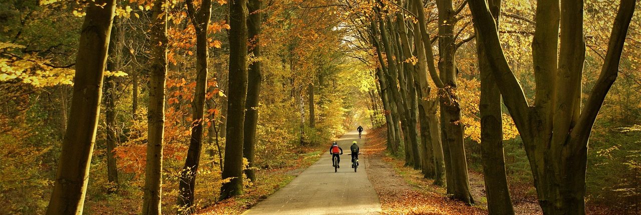 Fietsroute herfst