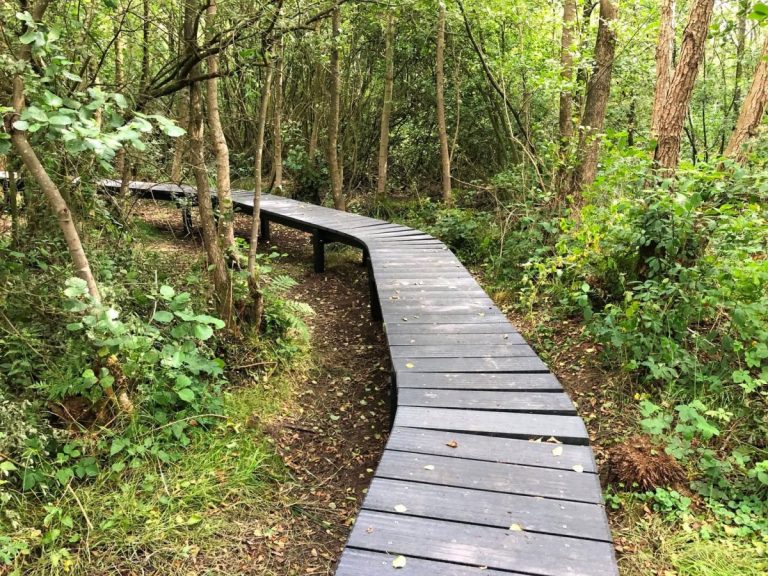 Wandelroute in de Baronie
