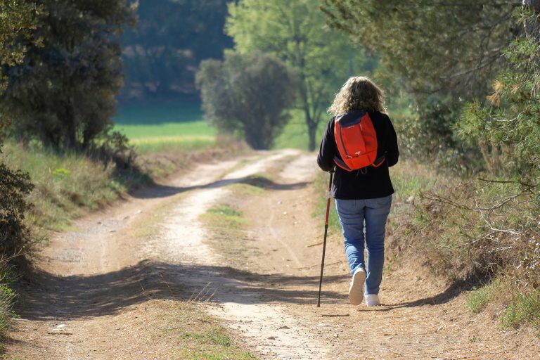Ontdek de mooiste wandelroutes in de Baronie