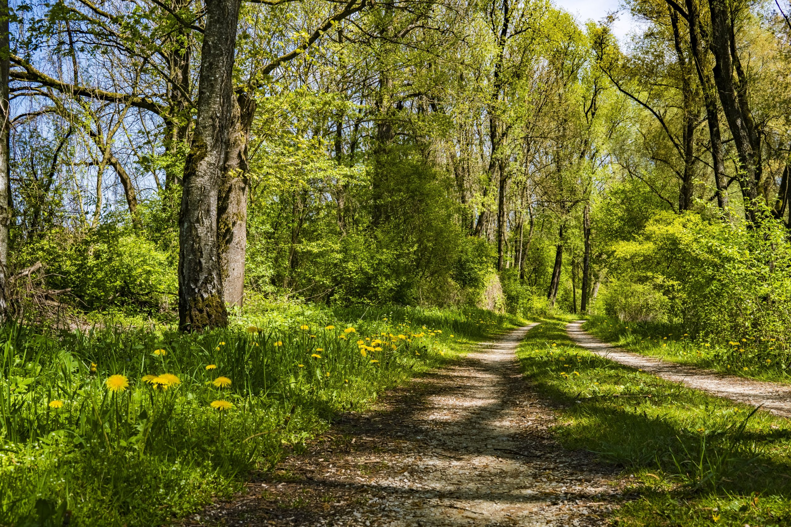 Ontdek de lente in de Baronie